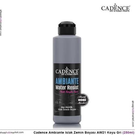 Cadence Ambiante Islak Zemin Boyası Koyu Gri 250ml AW21