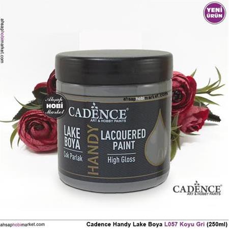 Cadence Handy Lake Boya L057 Koyu Gri 250ml